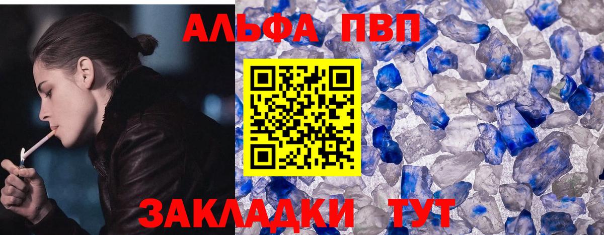 Альфа ПВП СК Тамбов