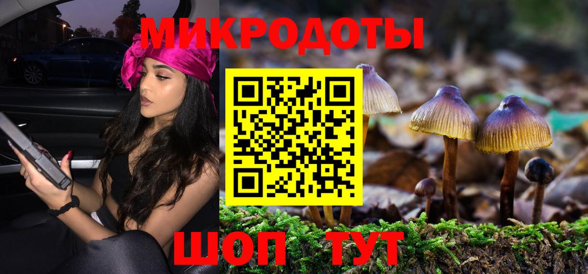 Тамбов  Галлюциногенные грибы Psilocybine cubensis  Вход с VPN 